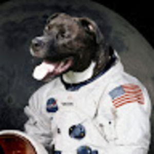 Meet your Posher, Matt